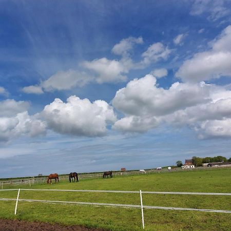 מלון Burton Pidsea Braemar Equestrian, East Riding Of Yorkshire מראה חיצוני תמונה