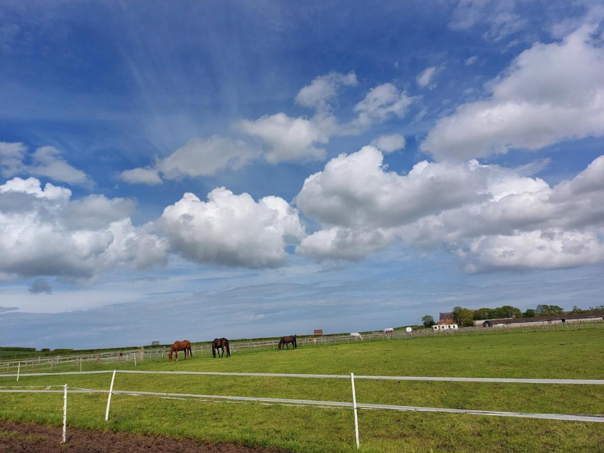 מלון Burton Pidsea Braemar Equestrian, East Riding Of Yorkshire מראה חיצוני תמונה